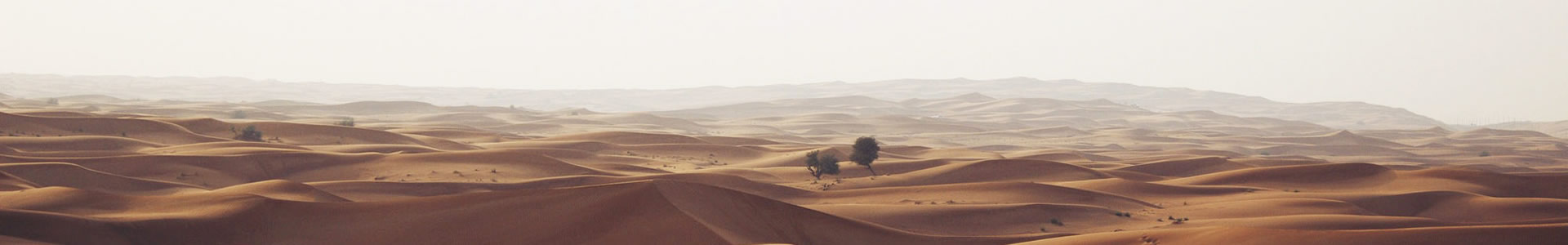 ݸԴƼ޹˾